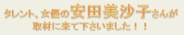 ys1
